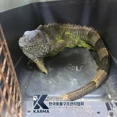 중구 기타(검/초) 기타축종 성별 미상