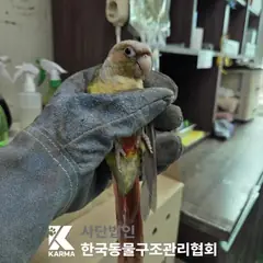 도봉구 기타(노/초/빨) 기타축종 성별 미상